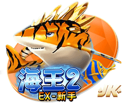深圳新鹏城2025赛季 下半程一线队球员名单公布